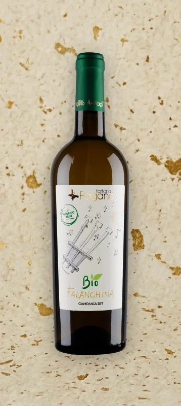 Falanghina Campania IGT / Bianco Biologico